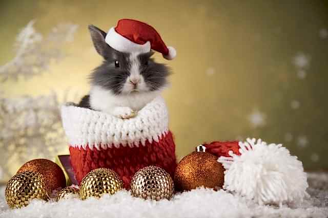 С Новым годом и Рождеством!